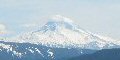Mt. Hood